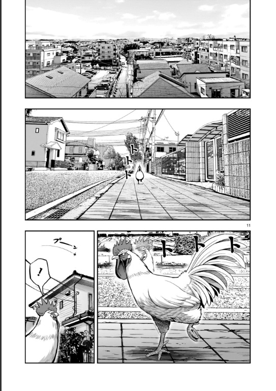 《社会我鸡哥，人狠话不多》漫画最新章节第1话 兽聚鸟散免费下拉式在线观看章节第【9】张图片