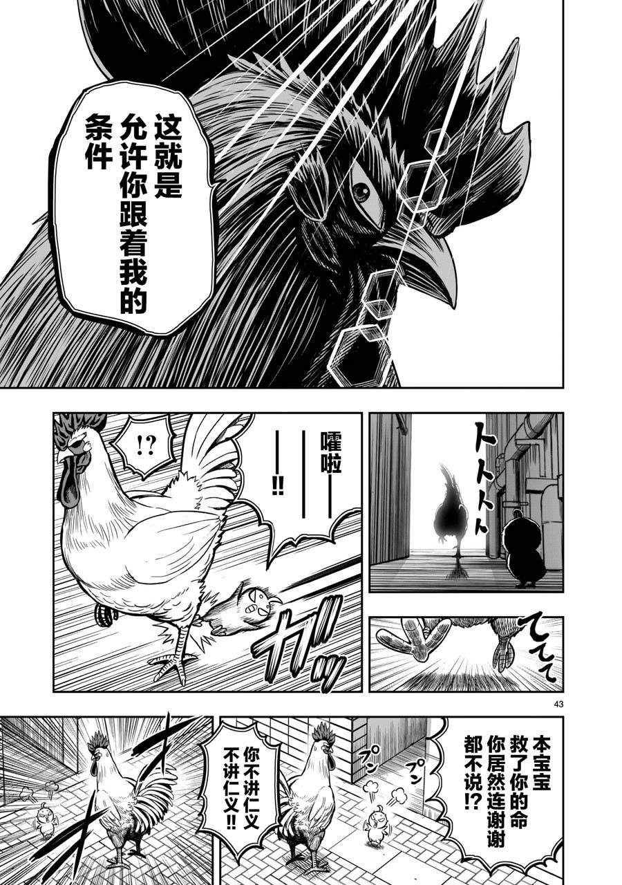 《社会我鸡哥，人狠话不多》漫画最新章节第6话 鸽面鸟形免费下拉式在线观看章节第【43】张图片