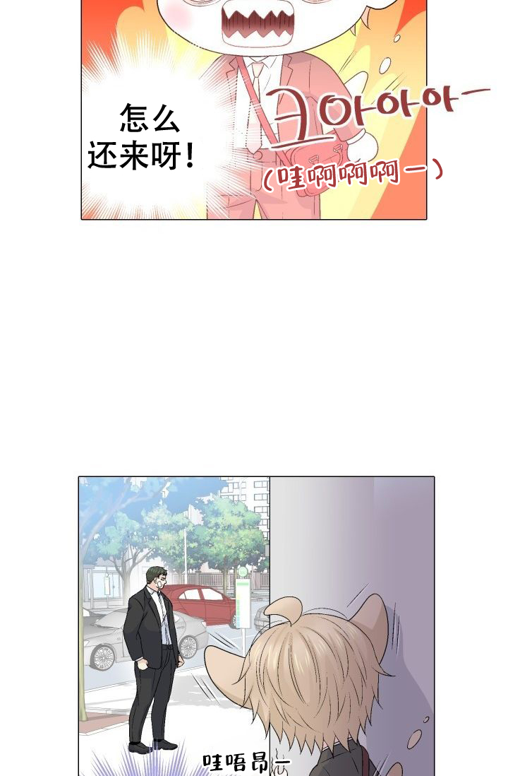 《愿爱降临》漫画最新章节第80话免费下拉式在线观看章节第【14】张图片