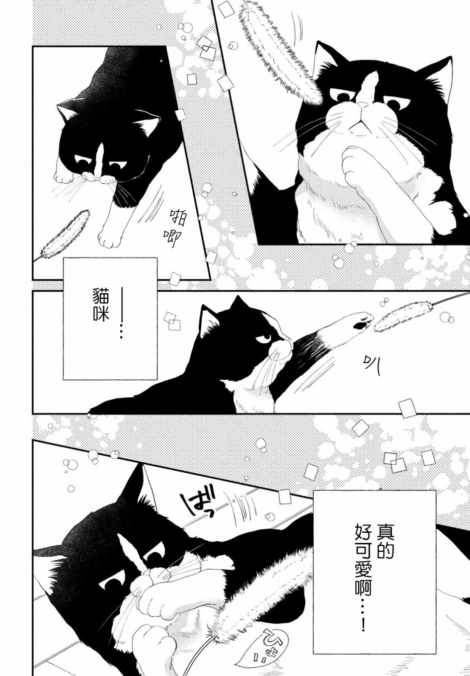 《猫和亲吻》漫画最新章节第2话免费下拉式在线观看章节第【22】张图片