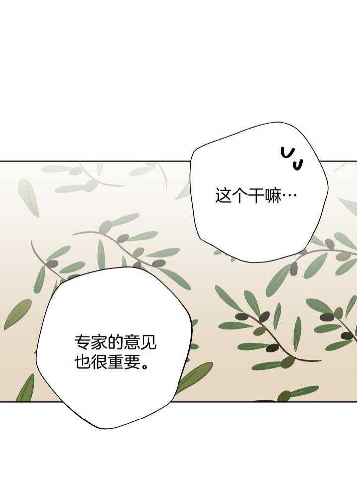 《他和我的婚礼计划》漫画最新章节第41话免费下拉式在线观看章节第【17】张图片