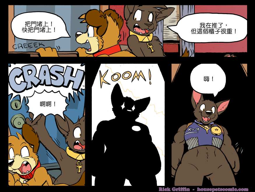 《Housepets!》漫画最新章节第1186话免费下拉式在线观看章节第【1】张图片