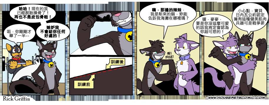 《Housepets!》漫画最新章节第7卷免费下拉式在线观看章节第【158】张图片