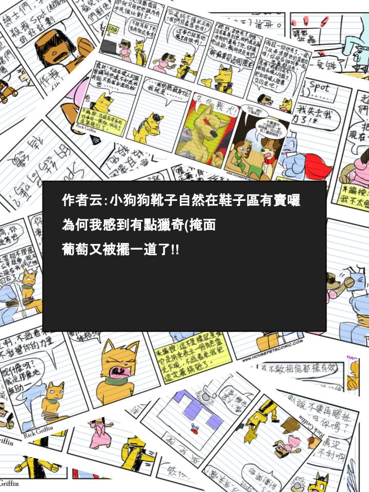 《Housepets!》漫画最新章节第547话免费下拉式在线观看章节第【2】张图片