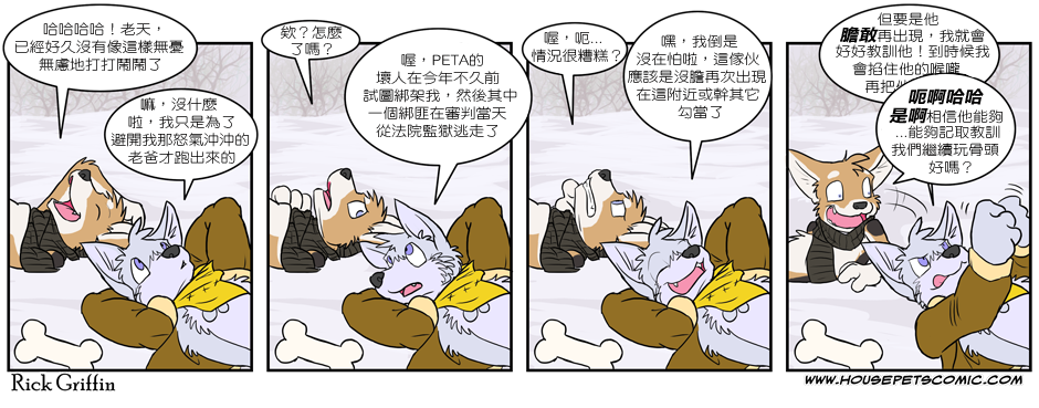 《Housepets!》漫画最新章节第213话免费下拉式在线观看章节第【1】张图片