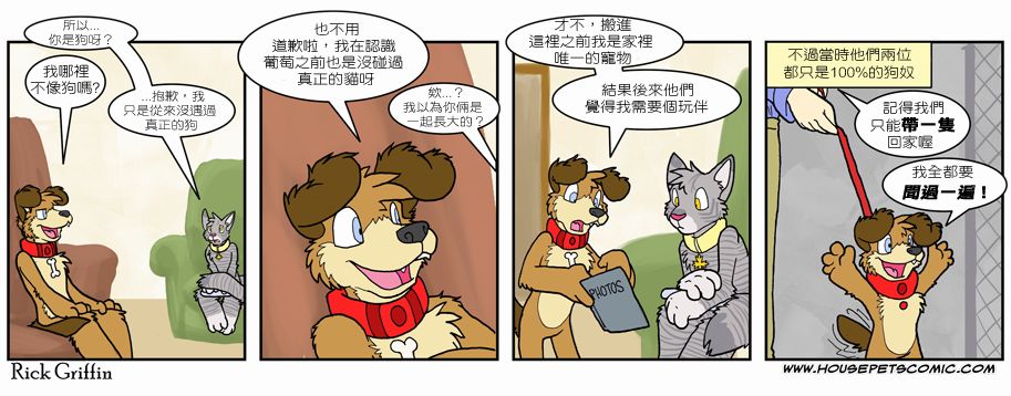 《Housepets!》漫画最新章节第6卷免费下拉式在线观看章节第【7】张图片