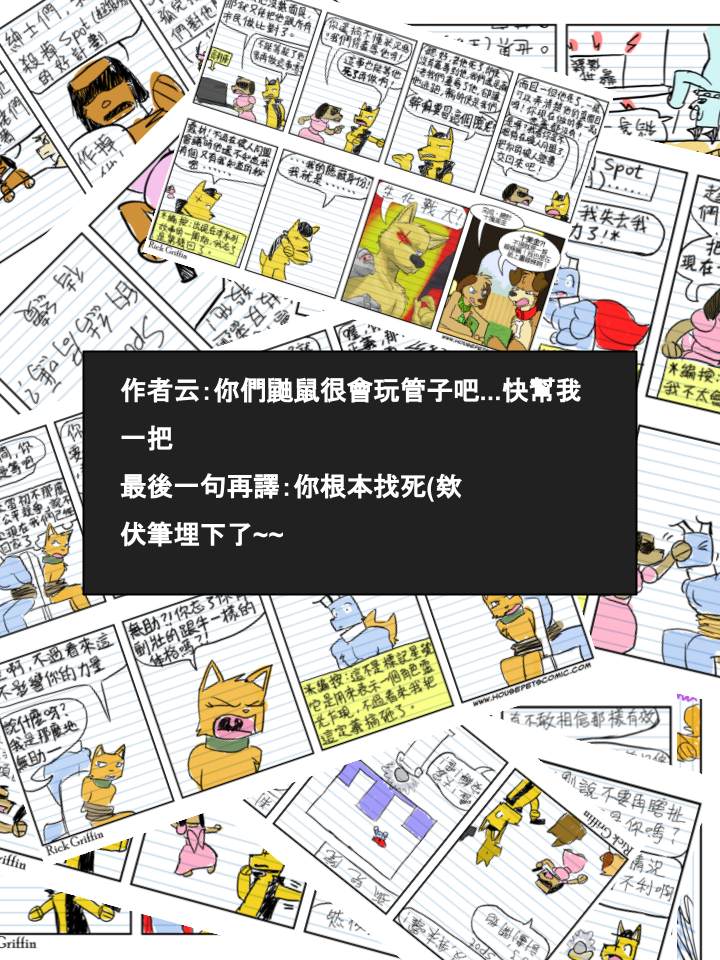 《Housepets!》漫画最新章节第541话免费下拉式在线观看章节第【2】张图片