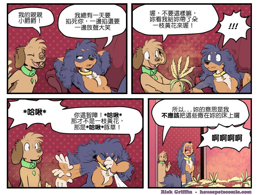 《Housepets!》漫画最新章节第1537话免费下拉式在线观看章节第【1】张图片