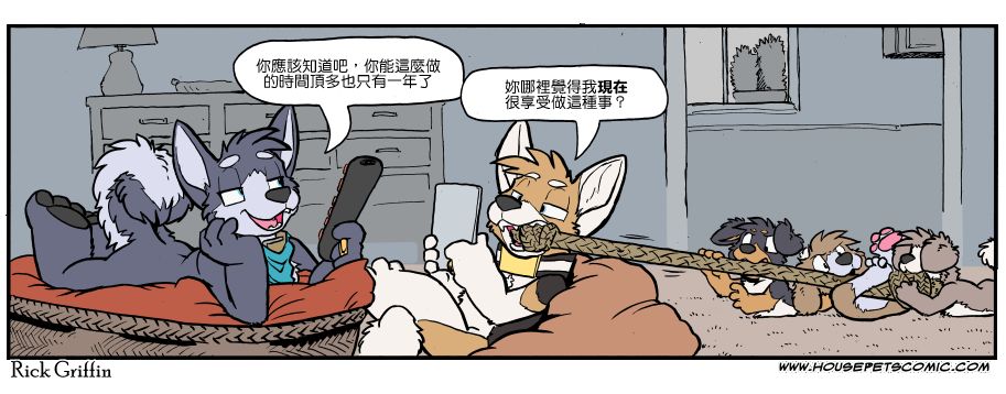 《Housepets!》漫画最新章节第1132话免费下拉式在线观看章节第【1】张图片