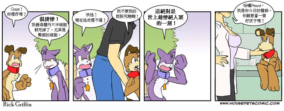 《Housepets!》漫画最新章节第1卷免费下拉式在线观看章节第【93】张图片