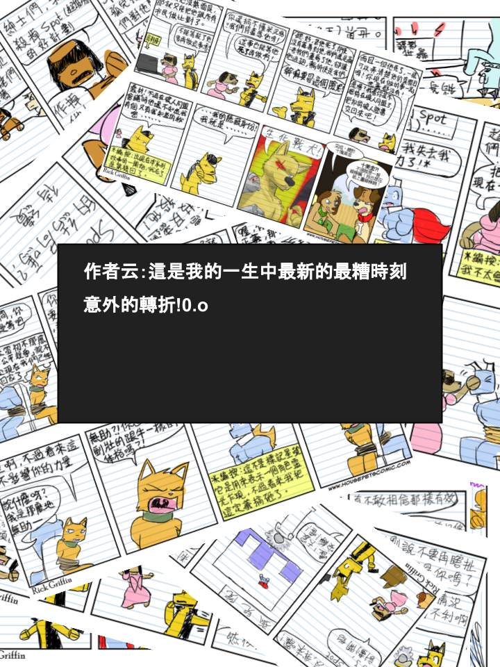 《Housepets!》漫画最新章节第354话免费下拉式在线观看章节第【2】张图片