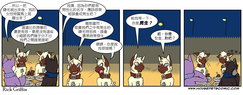 《Housepets!》漫画最新章节第169话免费下拉式在线观看章节第【1】张图片