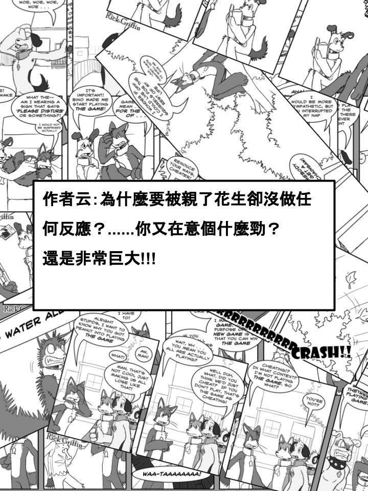 《Housepets!》漫画最新章节第375话免费下拉式在线观看章节第【2】张图片