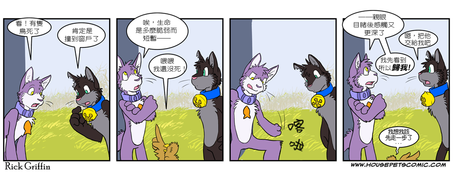 《Housepets!》漫画最新章节第240话免费下拉式在线观看章节第【1】张图片