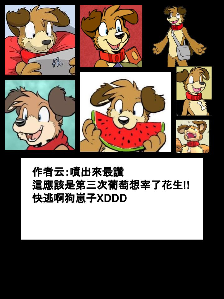 《Housepets!》漫画最新章节第377话免费下拉式在线观看章节第【2】张图片