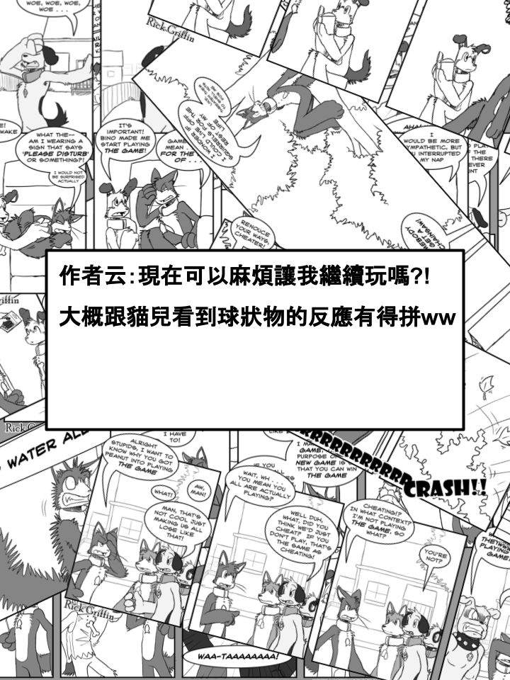 《Housepets!》漫画最新章节第379话免费下拉式在线观看章节第【2】张图片