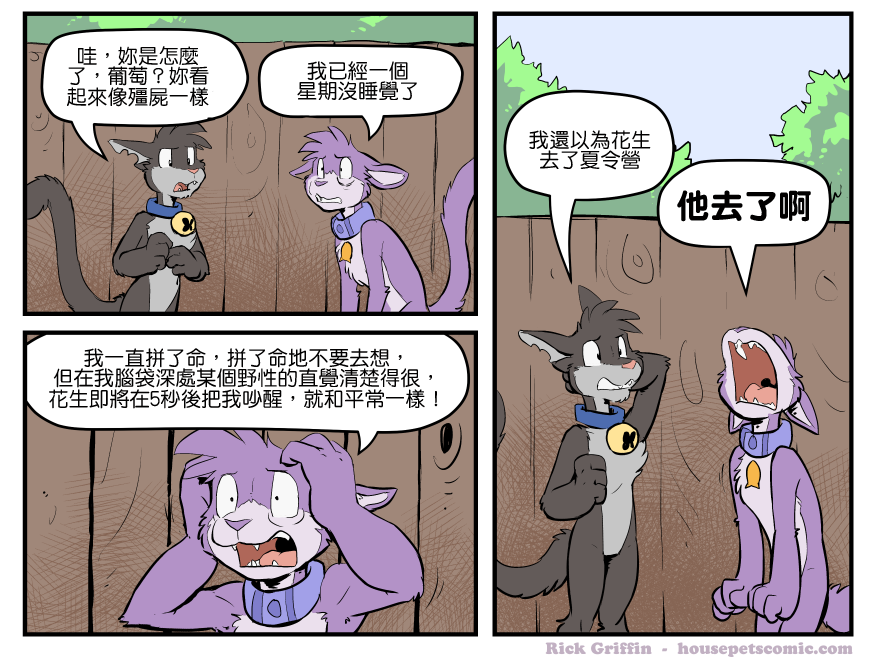 《Housepets!》漫画最新章节第1571话免费下拉式在线观看章节第【1】张图片