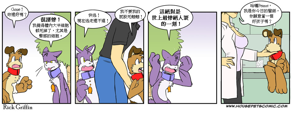 《Housepets!》漫画最新章节第93话免费下拉式在线观看章节第【1】张图片