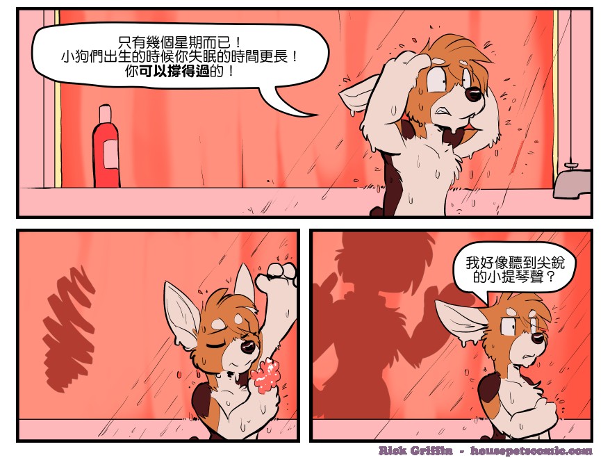 《Housepets!》漫画最新章节第1649话免费下拉式在线观看章节第【1】张图片