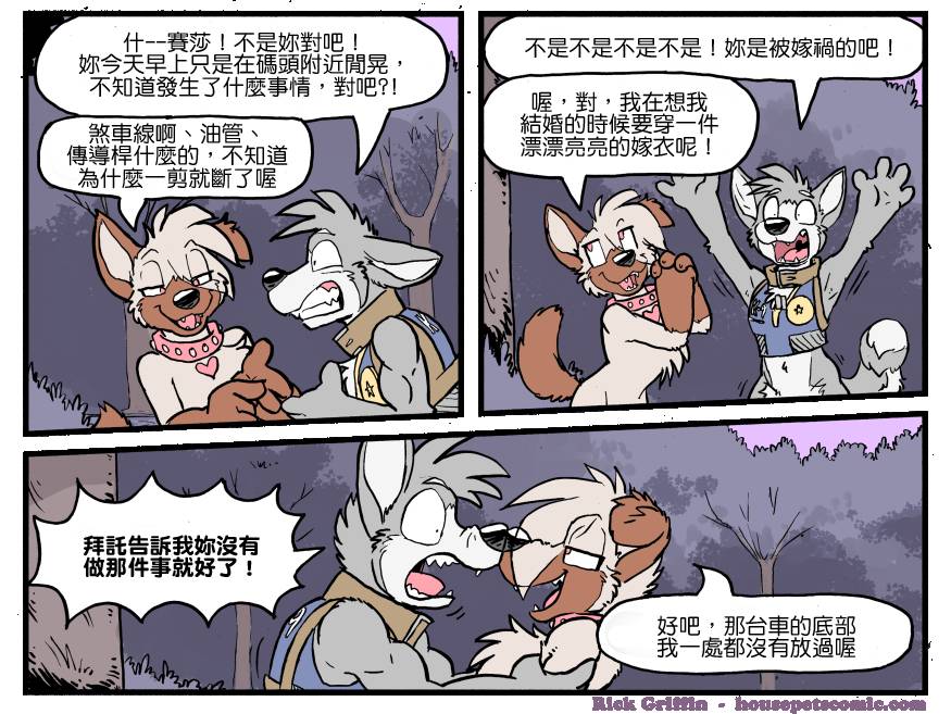 《Housepets!》漫画最新章节第1170话免费下拉式在线观看章节第【1】张图片