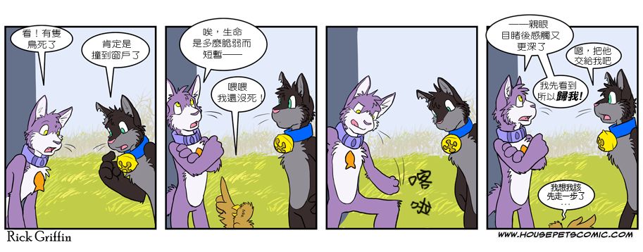 《Housepets!》漫画最新章节第3卷免费下拉式在线观看章节第【40】张图片