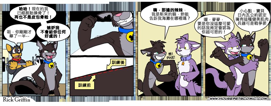 《Housepets!》漫画最新章节第771话免费下拉式在线观看章节第【1】张图片