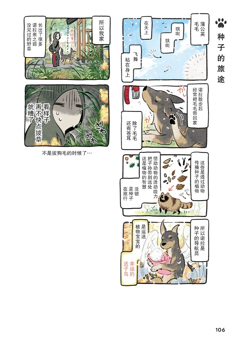 《杜比与诺拉 狗狗赐予我的温柔世界》漫画最新章节第7话免费下拉式在线观看章节第【14】张图片