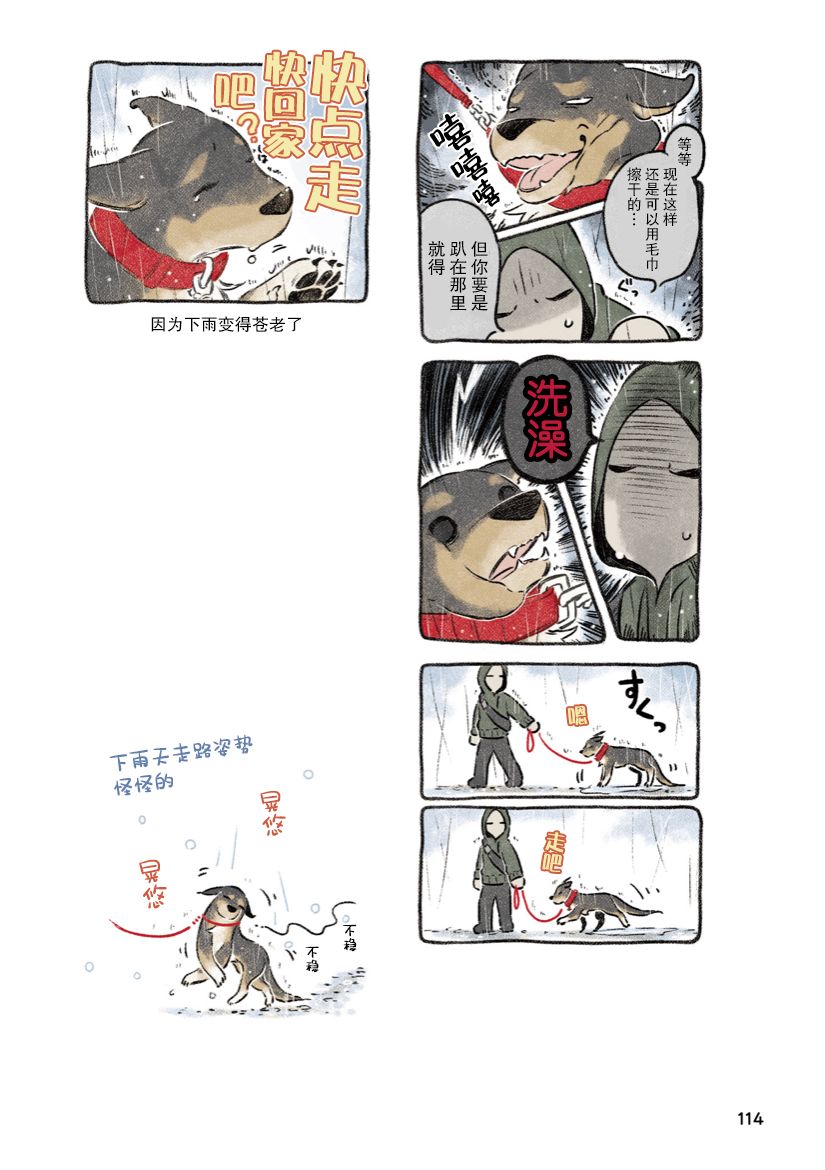 《杜比与诺拉 狗狗赐予我的温柔世界》漫画最新章节第7话免费下拉式在线观看章节第【22】张图片