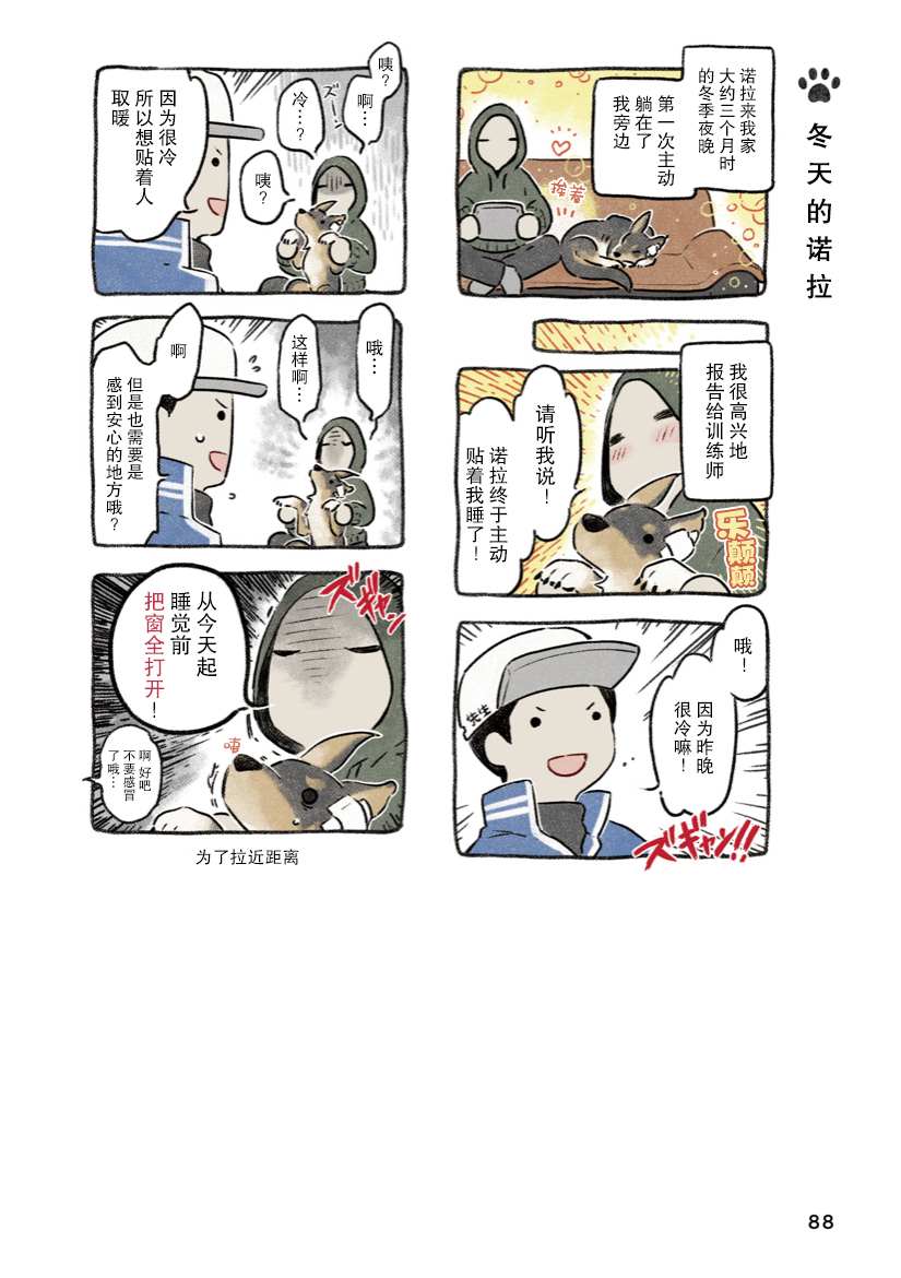 《杜比与诺拉 狗狗赐予我的温柔世界》漫画最新章节第6话免费下拉式在线观看章节第【22】张图片