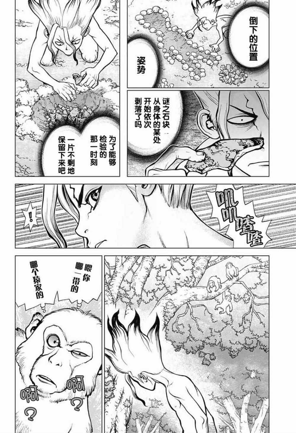 《石纪元（Dr.Stone）》漫画最新章节第13话免费下拉式在线观看章节第【4】张图片