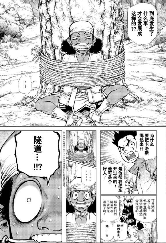 《石纪元（Dr.Stone）》漫画最新章节第162话 试看版免费下拉式在线观看章节第【15】张图片