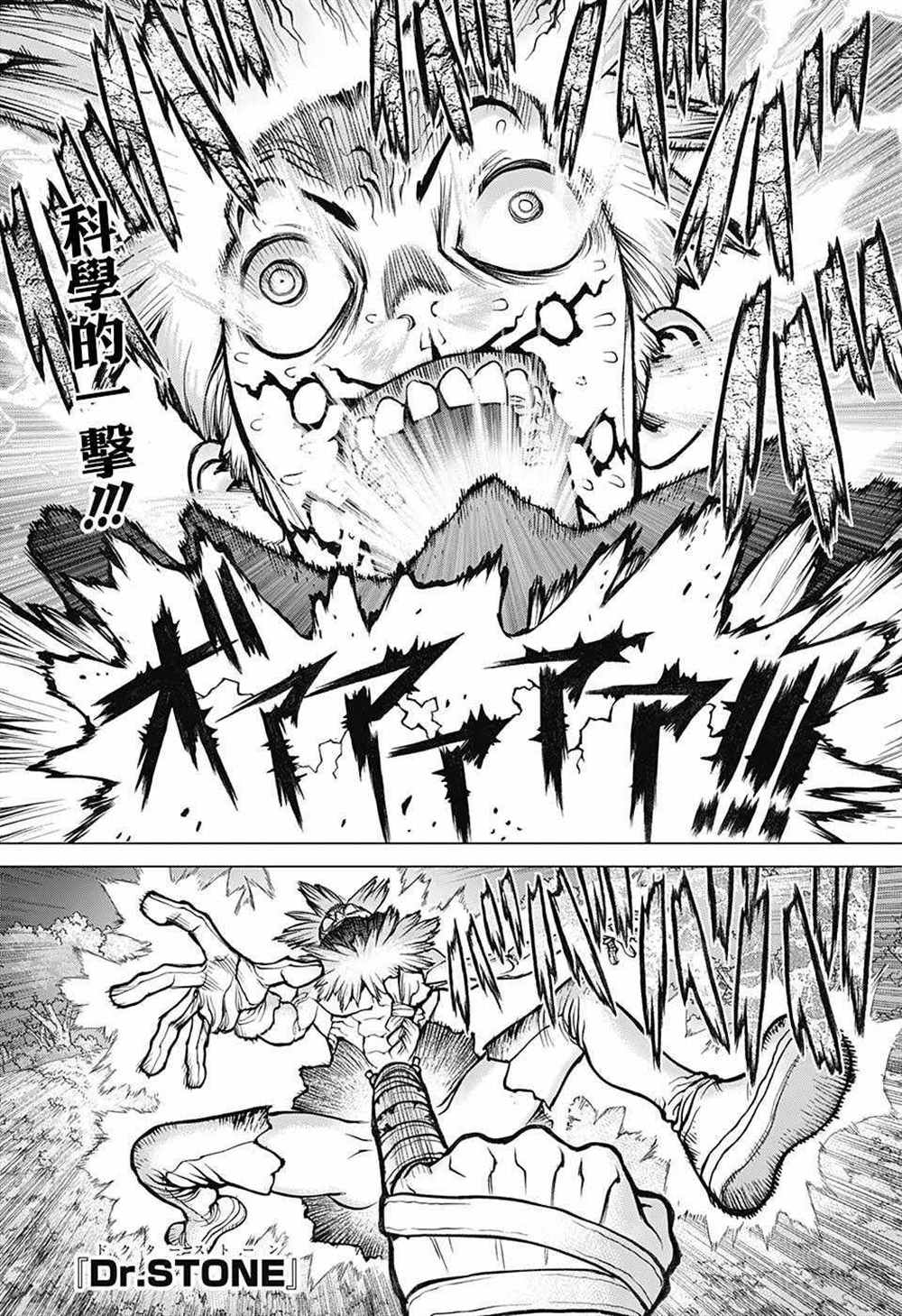 《石纪元（Dr.Stone）》漫画最新章节第82话免费下拉式在线观看章节第【1】张图片