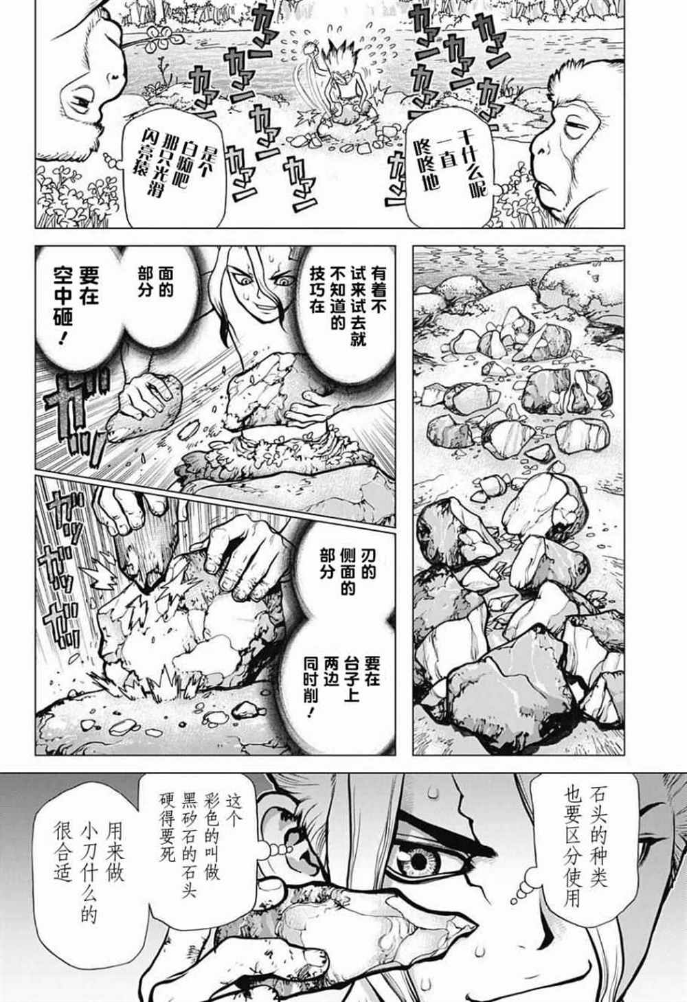 《石纪元（Dr.Stone）》漫画最新章节第13话免费下拉式在线观看章节第【11】张图片