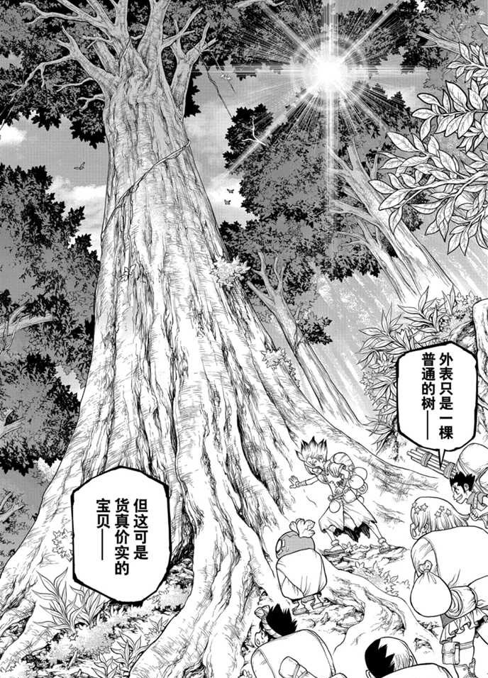 《石纪元（Dr.Stone）》漫画最新章节第174话 试看版免费下拉式在线观看章节第【12】张图片