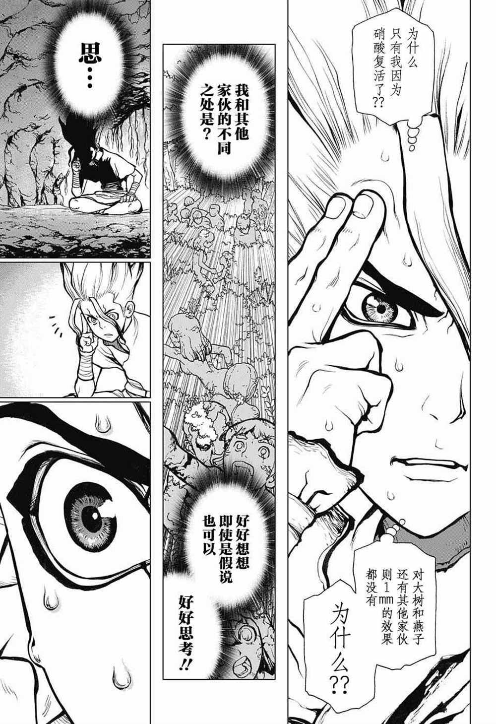 《石纪元（Dr.Stone）》漫画最新章节第14话免费下拉式在线观看章节第【12】张图片