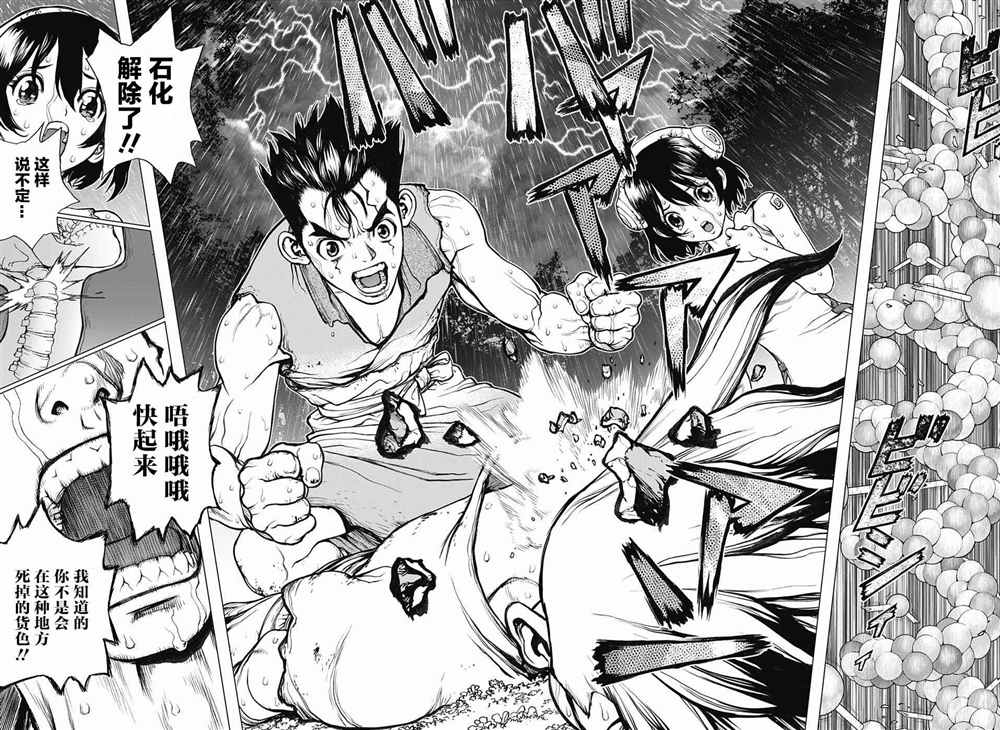 《石纪元（Dr.Stone）》漫画最新章节第12话免费下拉式在线观看章节第【14】张图片