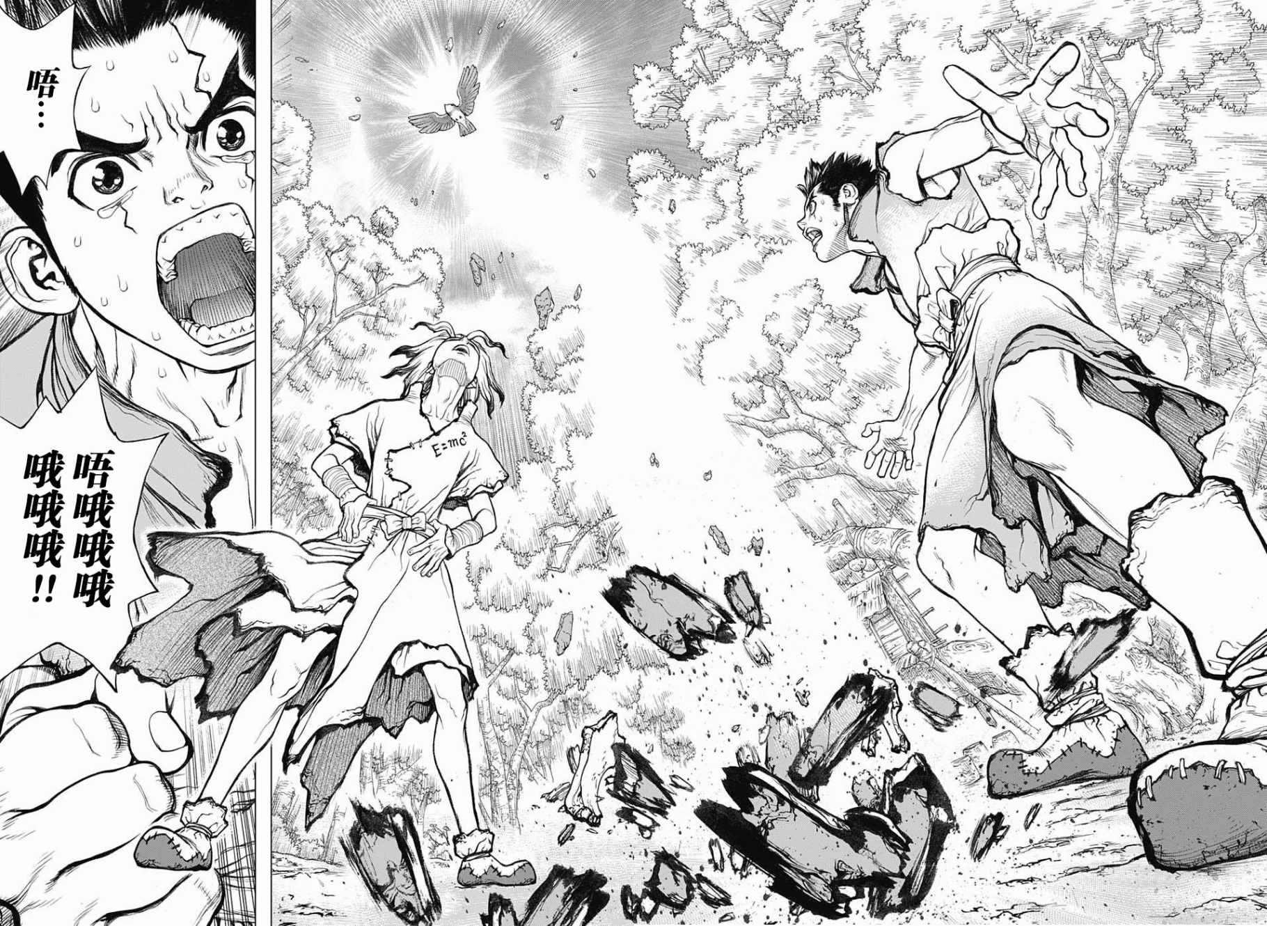 《石纪元（Dr.Stone）》漫画最新章节第2话免费下拉式在线观看章节第【22】张图片