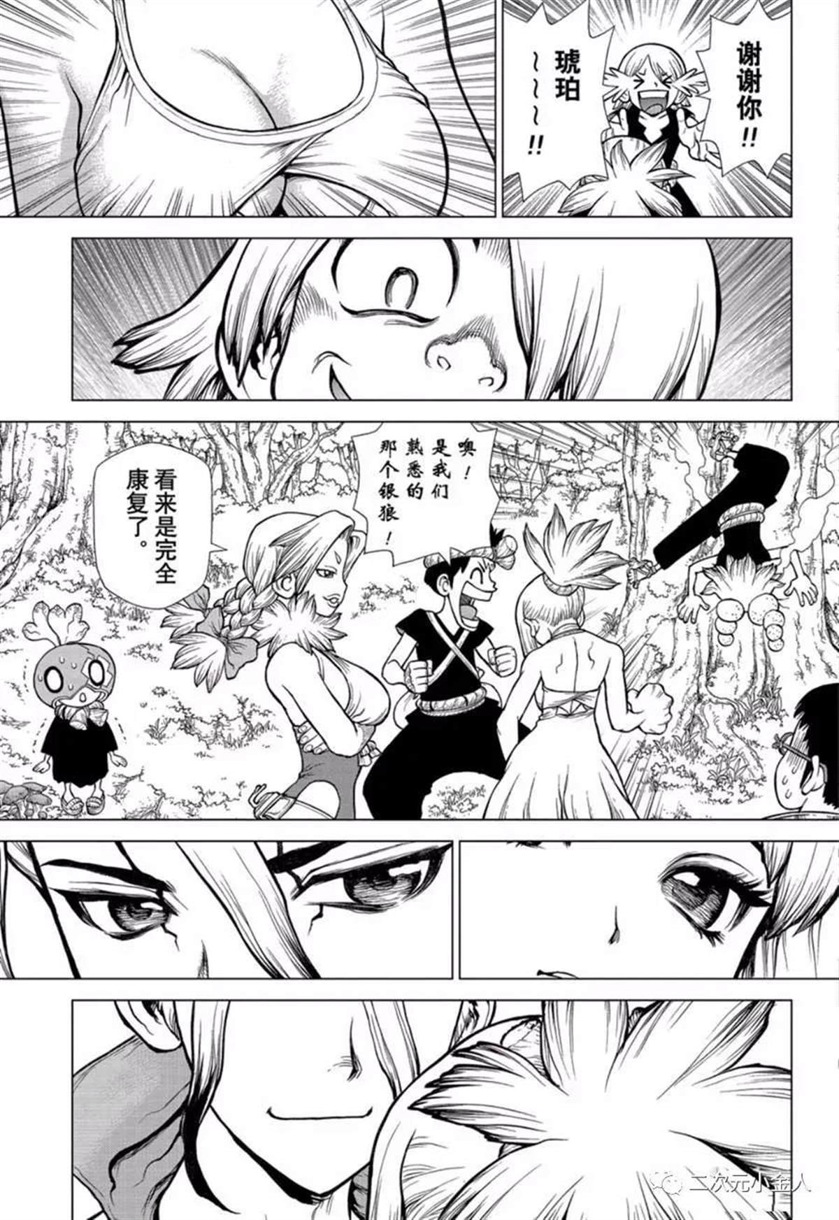 《石纪元（Dr.Stone）》漫画最新章节第138话免费下拉式在线观看章节第【10】张图片