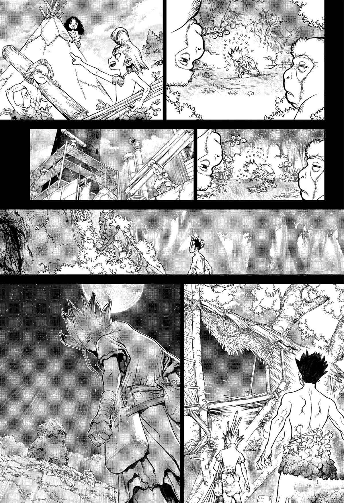 《石纪元（Dr.Stone）》漫画最新章节第229话 试看版免费下拉式在线观看章节第【15】张图片