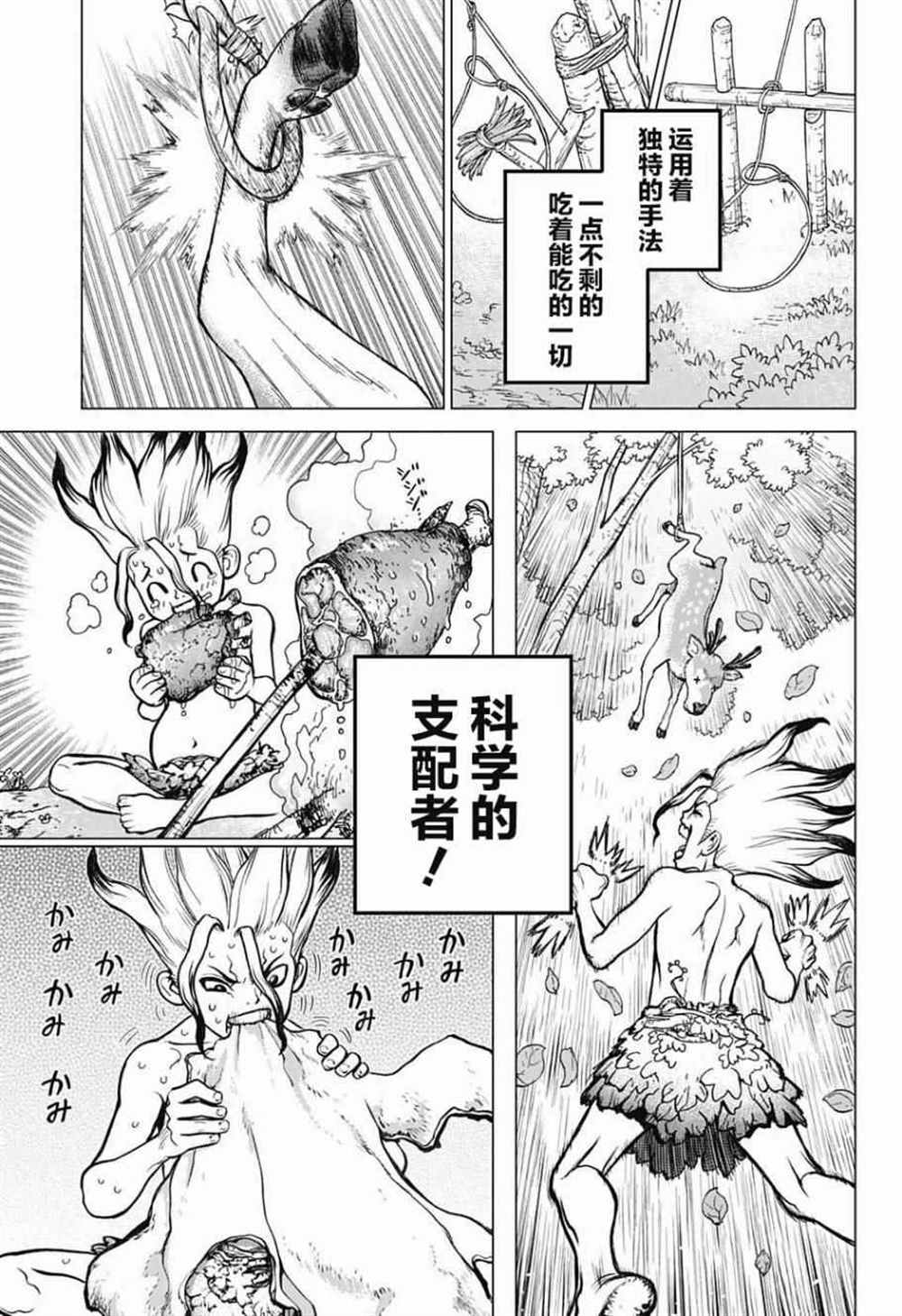 《石纪元（Dr.Stone）》漫画最新章节第13话免费下拉式在线观看章节第【17】张图片