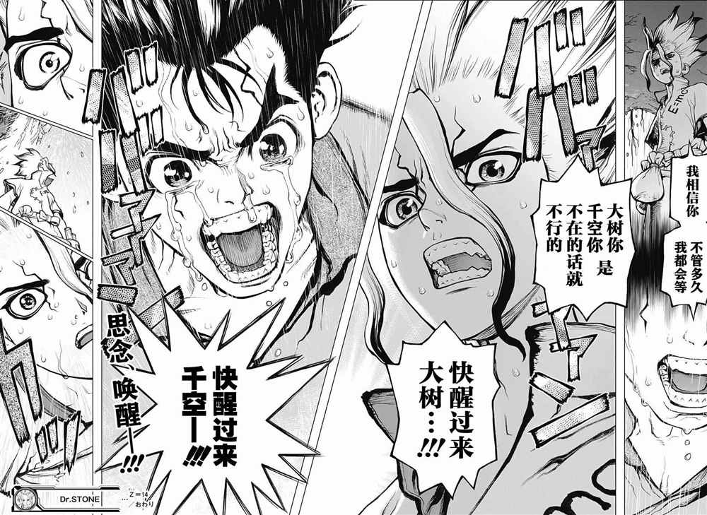 《石纪元（Dr.Stone）》漫画最新章节第14话免费下拉式在线观看章节第【17】张图片