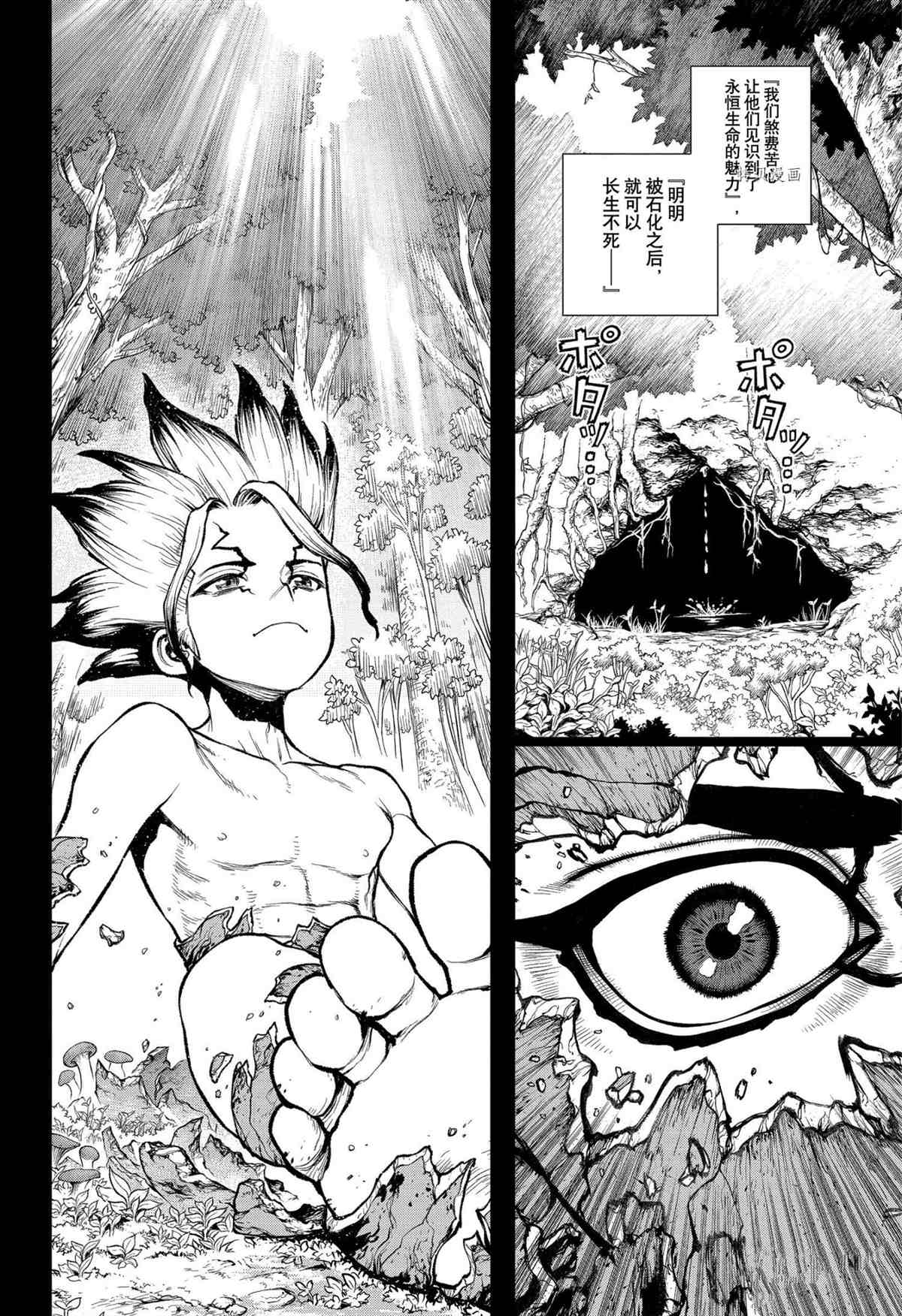 《石纪元（Dr.Stone）》漫画最新章节第229话 试看版免费下拉式在线观看章节第【14】张图片