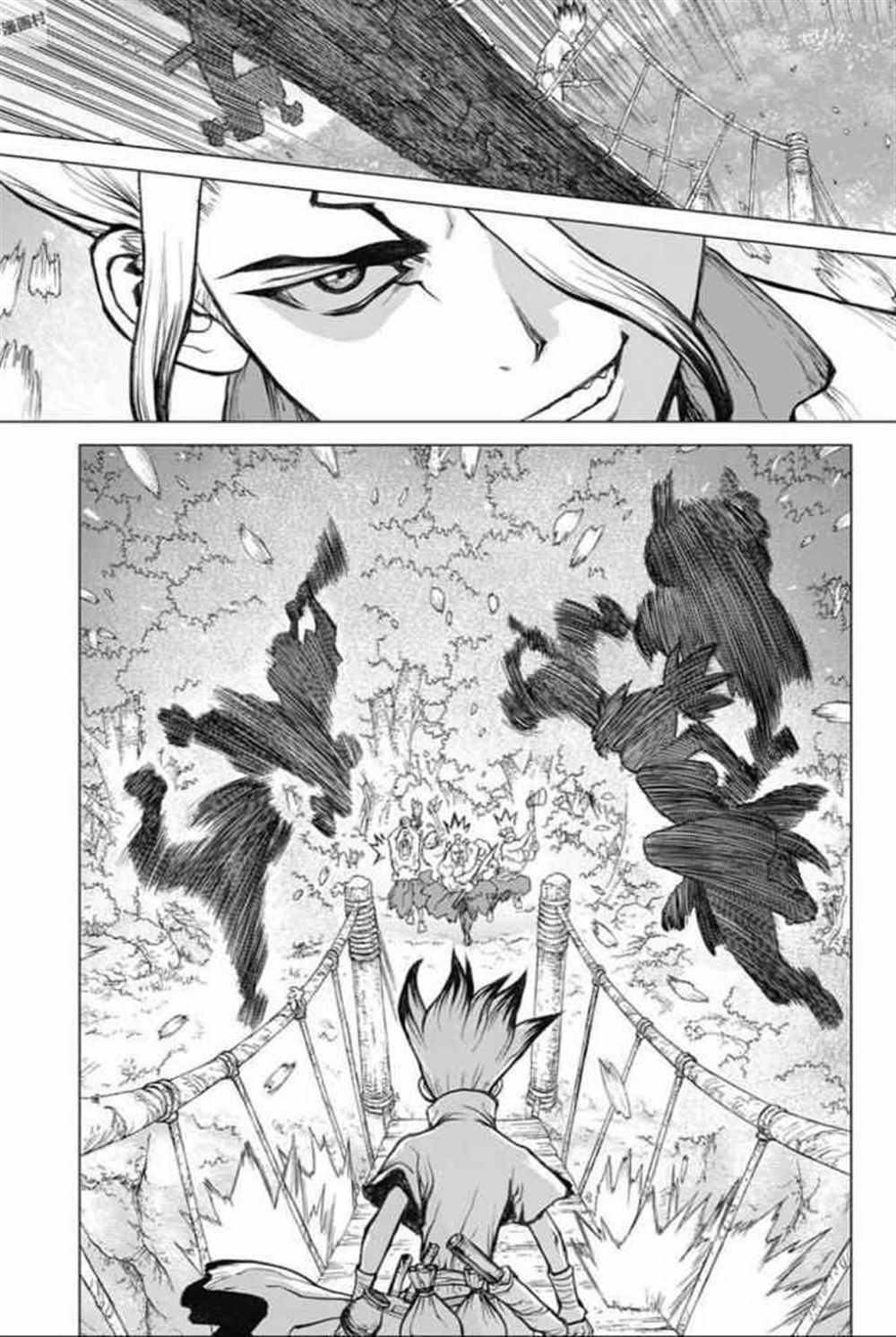 《石纪元（Dr.Stone）》漫画最新章节第47话免费下拉式在线观看章节第【14】张图片