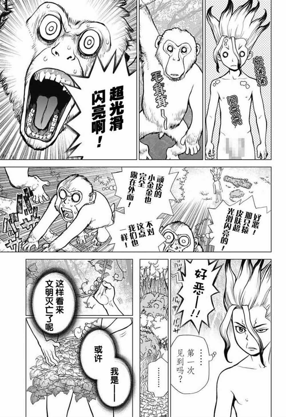 《石纪元（Dr.Stone）》漫画最新章节第13话免费下拉式在线观看章节第【5】张图片