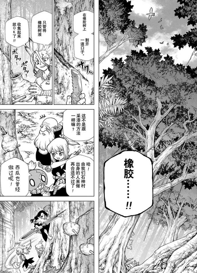 《石纪元（Dr.Stone）》漫画最新章节第174话 试看版免费下拉式在线观看章节第【13】张图片