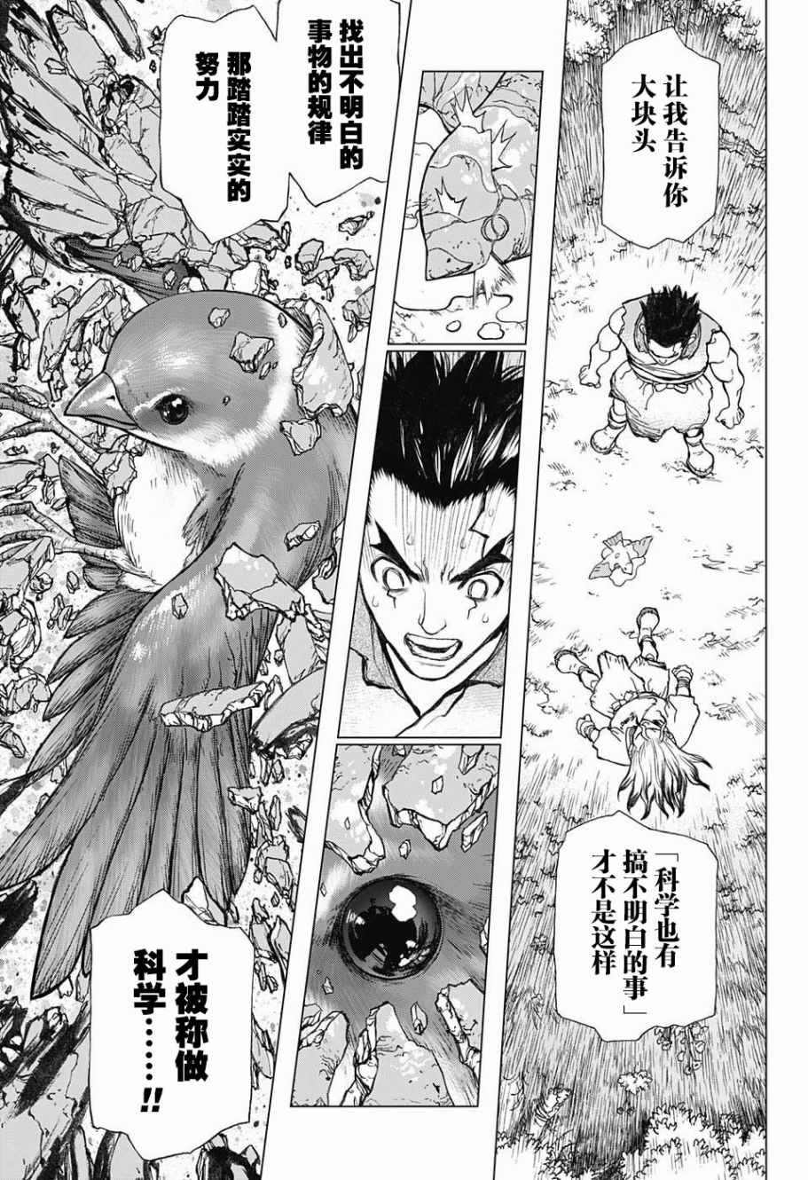 《石纪元（Dr.Stone）》漫画最新章节第2话免费下拉式在线观看章节第【21】张图片