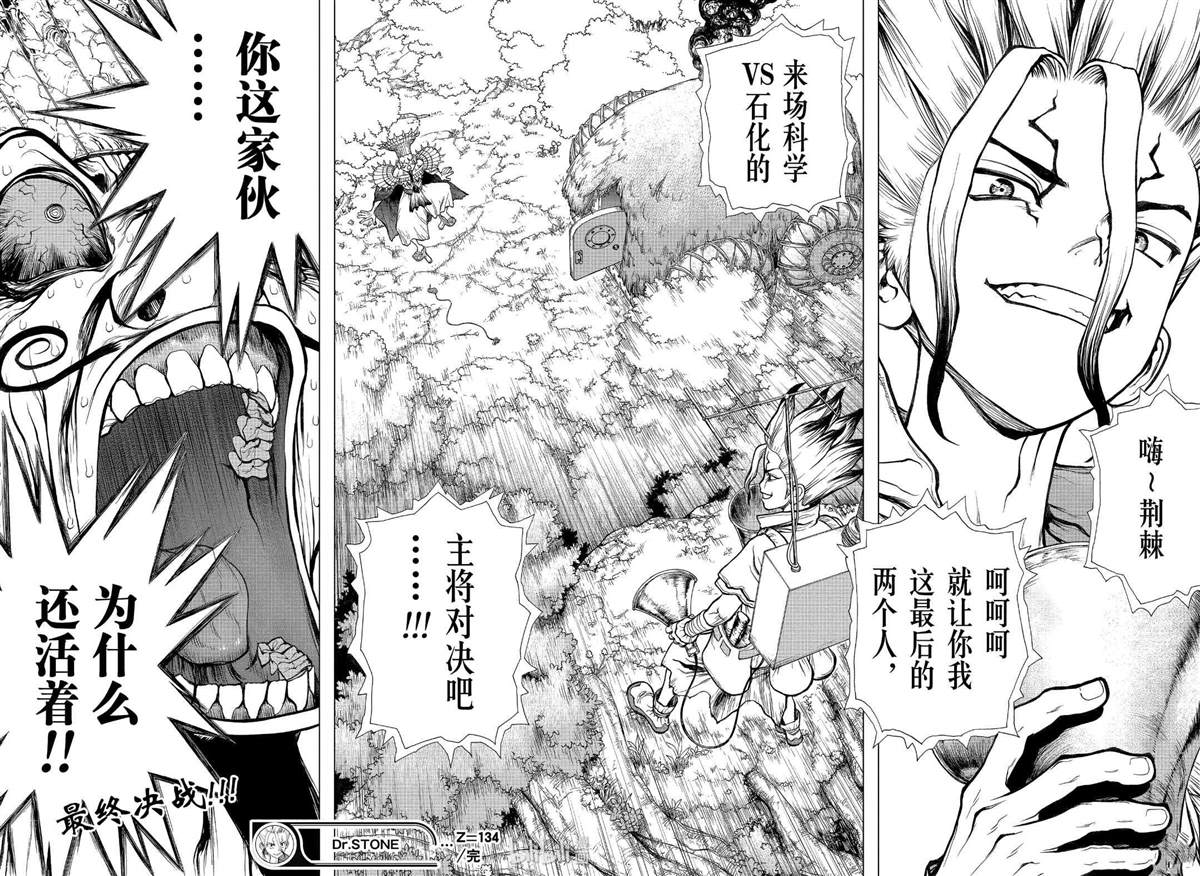 《石纪元（Dr.Stone）》漫画最新章节第134话免费下拉式在线观看章节第【17】张图片