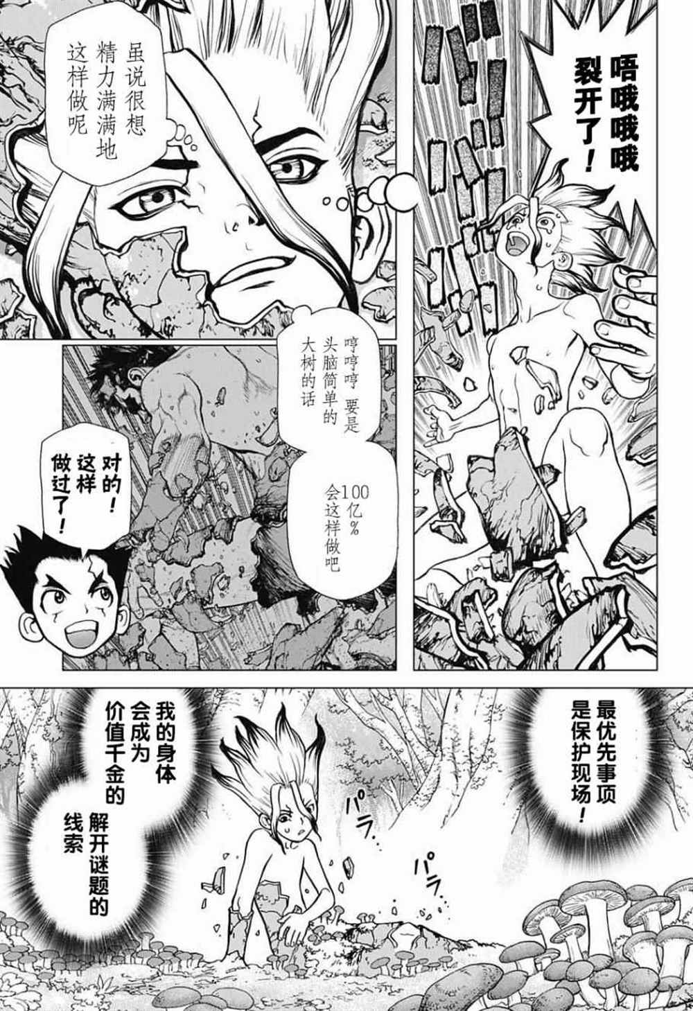 《石纪元（Dr.Stone）》漫画最新章节第13话免费下拉式在线观看章节第【3】张图片