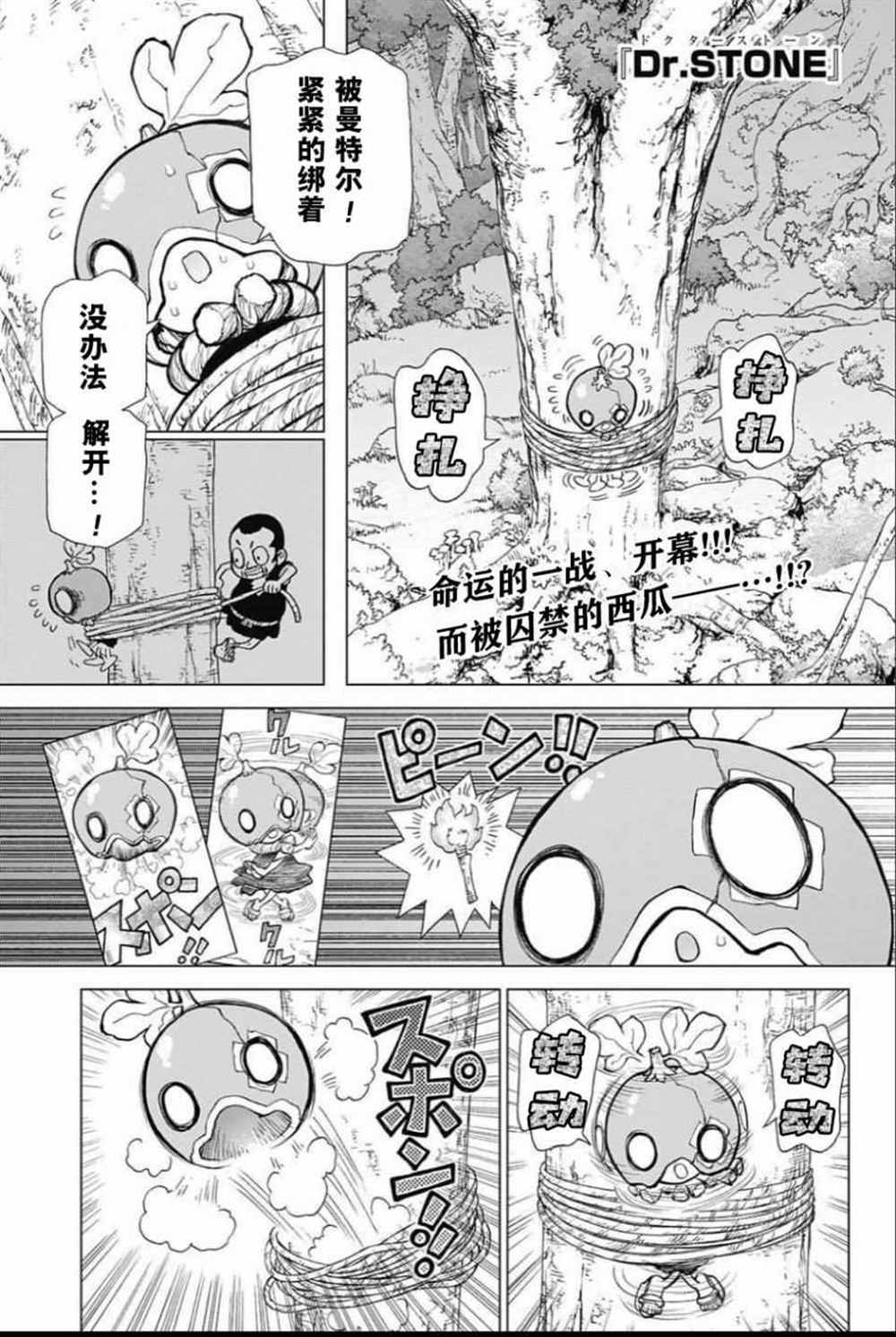 《石纪元（Dr.Stone）》漫画最新章节第35话免费下拉式在线观看章节第【1】张图片