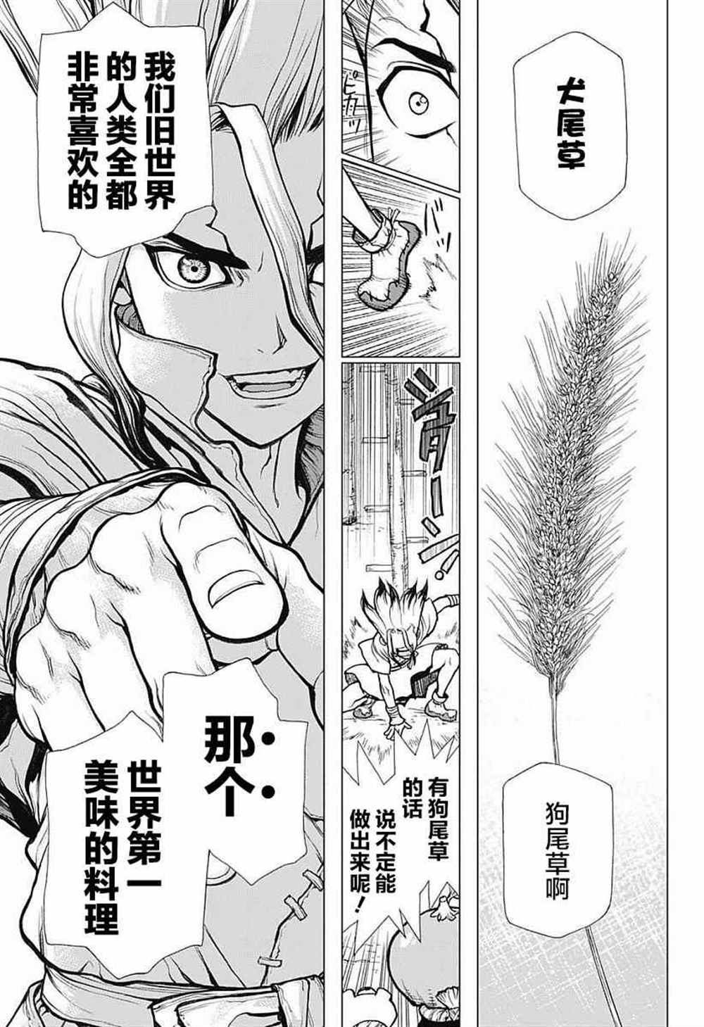 《石纪元（Dr.Stone）》漫画最新章节第22话免费下拉式在线观看章节第【9】张图片